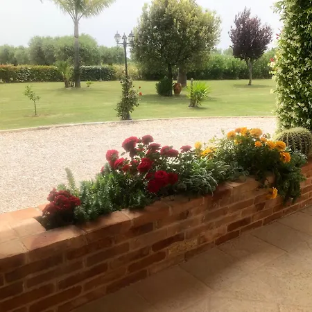 Sofia Guest house *