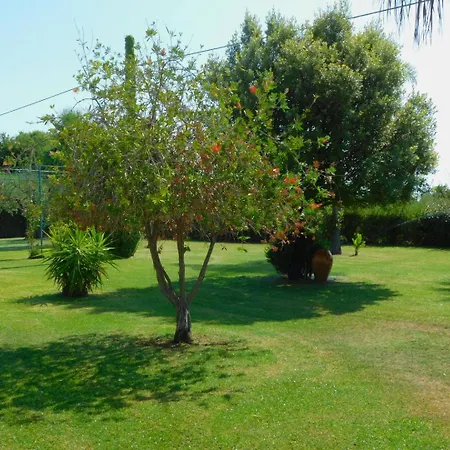 Guest house Sofia Marconia